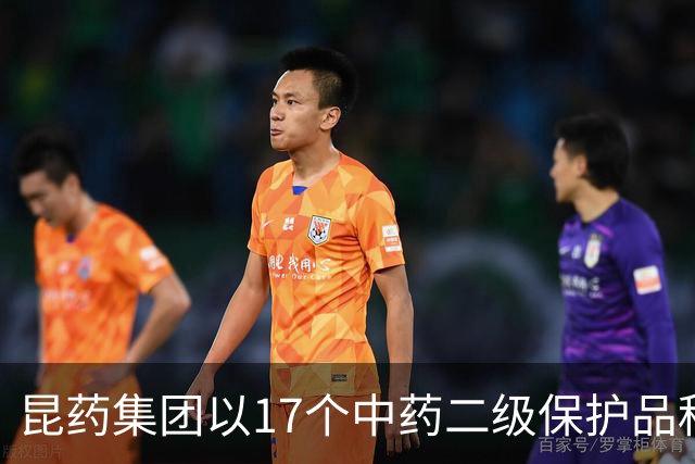昆药集团以17个中药二级保护品种为支点，构筑银发健康差异化优势